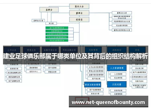 建业足球俱乐部属于哪类单位及其背后的组织结构解析