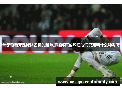 关于葡萄牙足球队名称的趣味探秘你真的知道他们究竟叫什么吗呢呀 关于葡萄牙足球队名称的趣味探秘你真的知道他们究竟叫什么吗呢呀